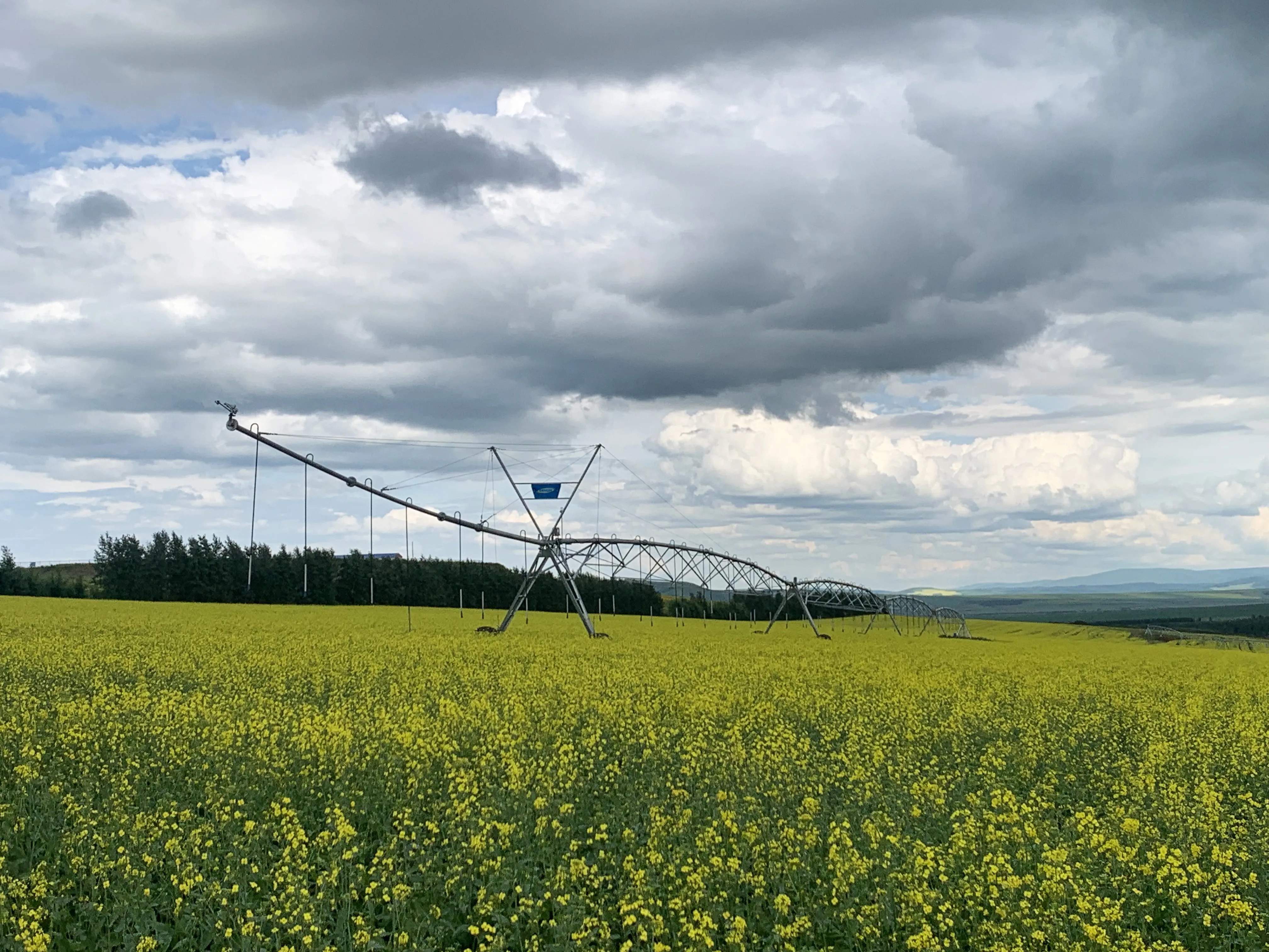 Modernizing Farming Practices with Valley Lateral Move Irrigation Technology