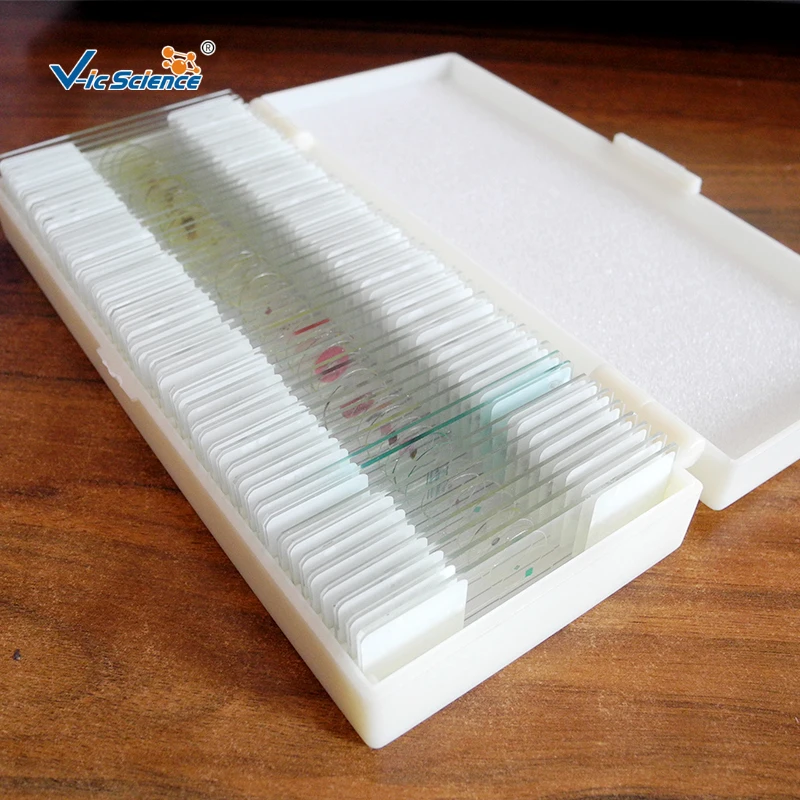 Parasitology Set of 50 Pcs  Slides  Studying Microscope Prepared Slides Prepared Slides Microscope
