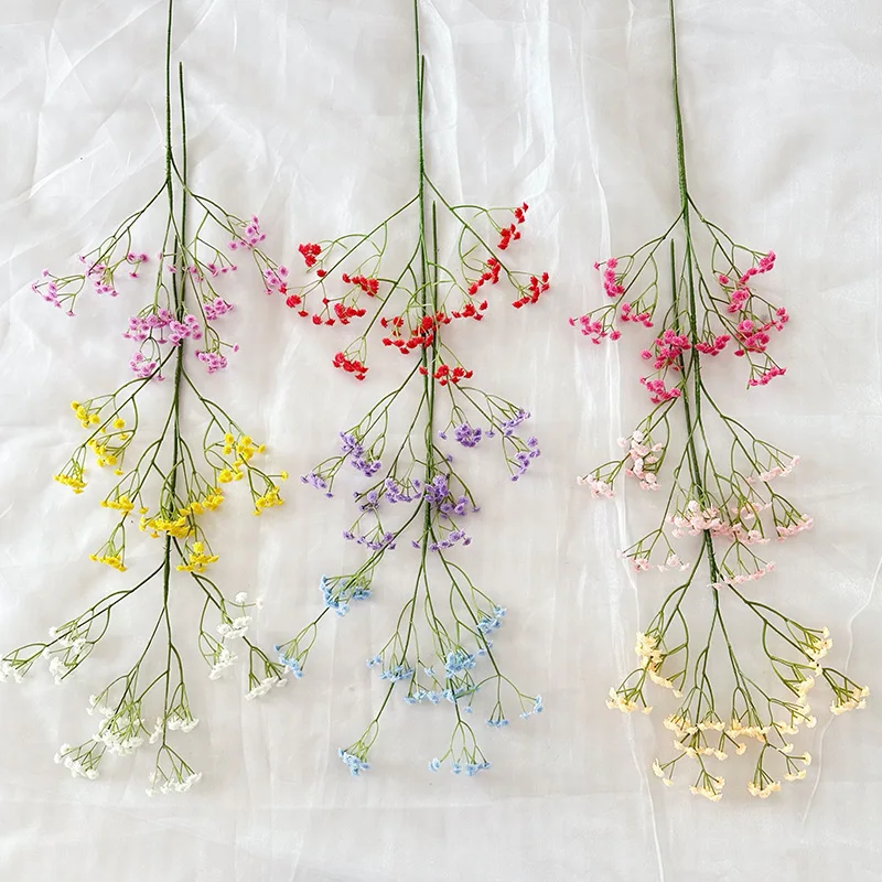 Vinnig, Onderhoudsvrye Hoë Binnenhuisplante Vir 'n Groen Oase