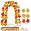 เถาวัลย์เมเปิ้ลฤดูใบไม้ร่วง 22 หัว - B [1.75ม.]
