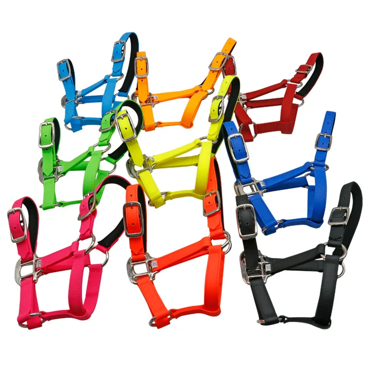 Endurance Horse Bridle Pvc Adjustable Chinese Coldresistant Water