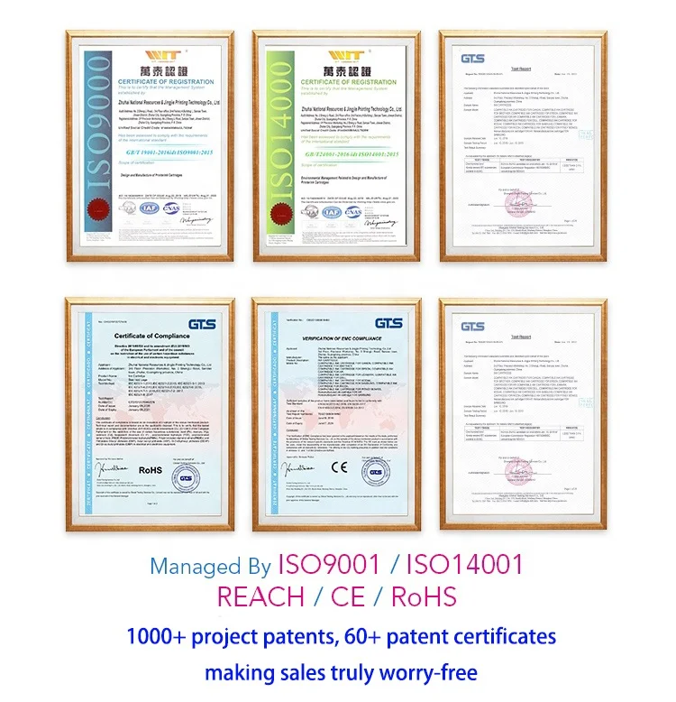 Canon 540 541 LCL Cartucce D'inchiostro Compatibile PGI72 PGI72E PGI-73 PGI- 72 (10-PACK PBK MBK C M Y PC PM R GY CO) Sostituzione Per Canon PIXMA Pro-10 Pro-10s Pro-11 Pro-11s Canon 545 - Foto 2