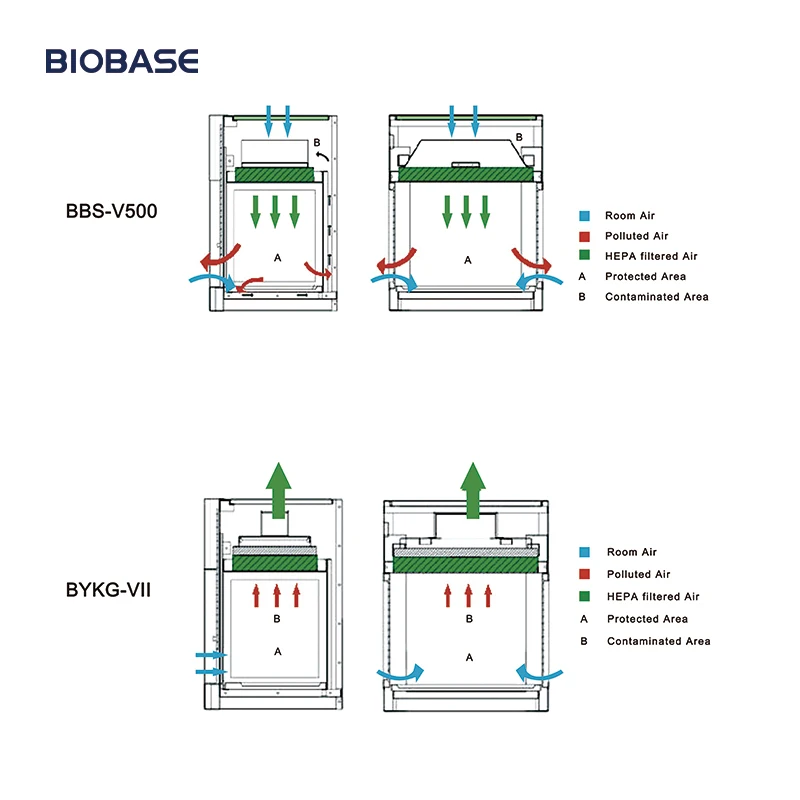 Biobase Vertical Laminar Flow Compounding Hood Bykgxii Price