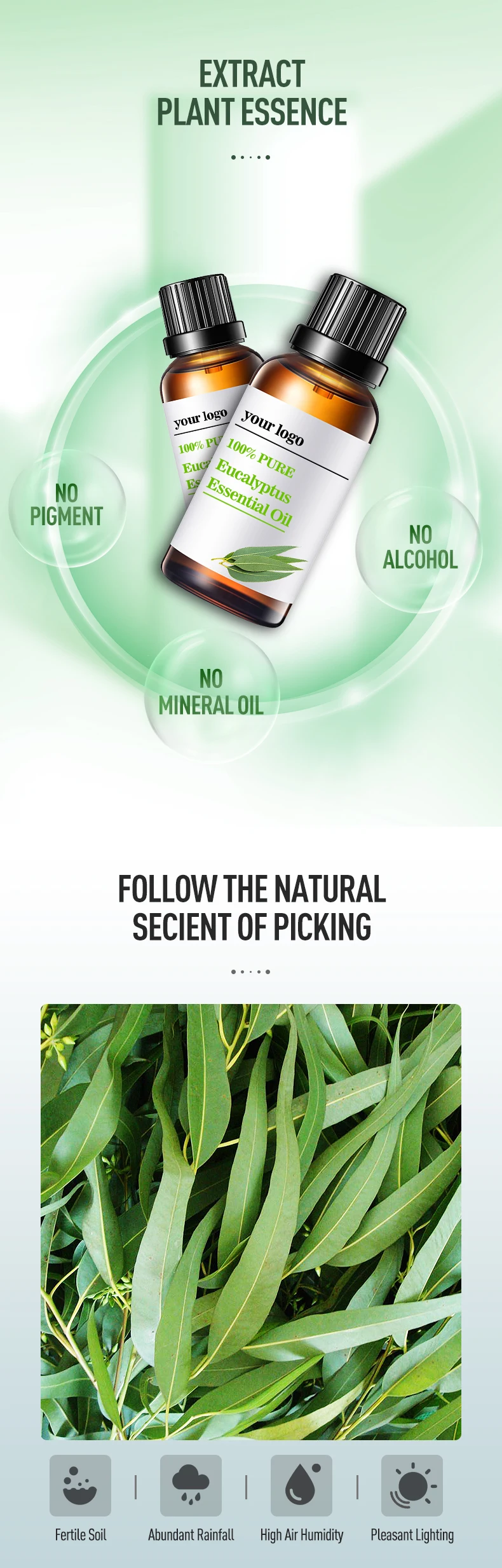 High Quality Cheaper Prices Eucalyptus Essential Oil For Insect