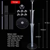 7 Ball-Disc Base