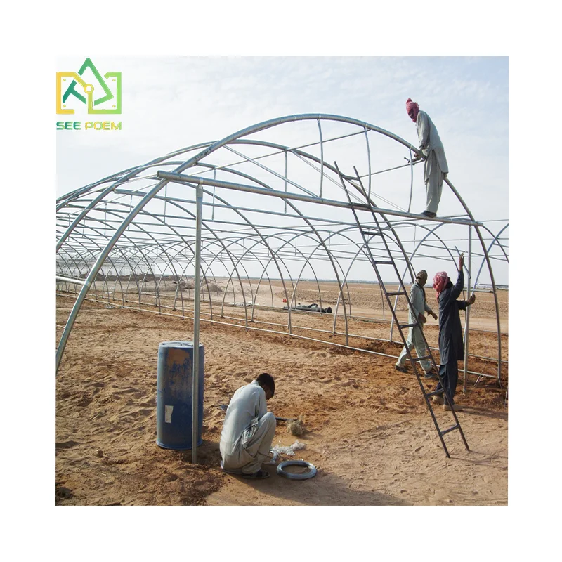 Custom Hot-dip Galvanized Steel Structure Greenhouse