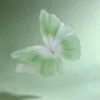Gradient Green