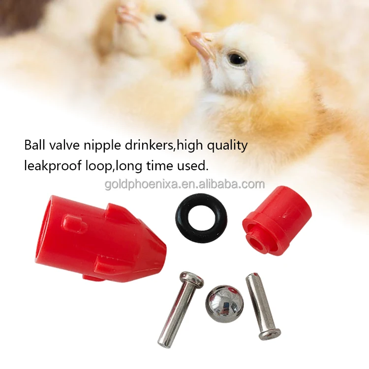 Sportchi sportchilar bilan jinsiy aloqa Tojikcha jinsiy aloqa