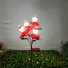Rojo (Luz Blanca)