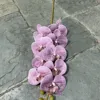 Rojo violeta claro