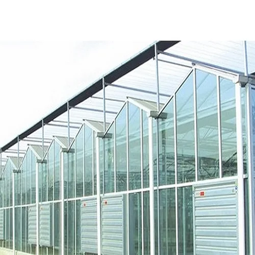 Agriculture Multispan Venlo Glass Intelligent Greenhouse for vegetable flower medical plants