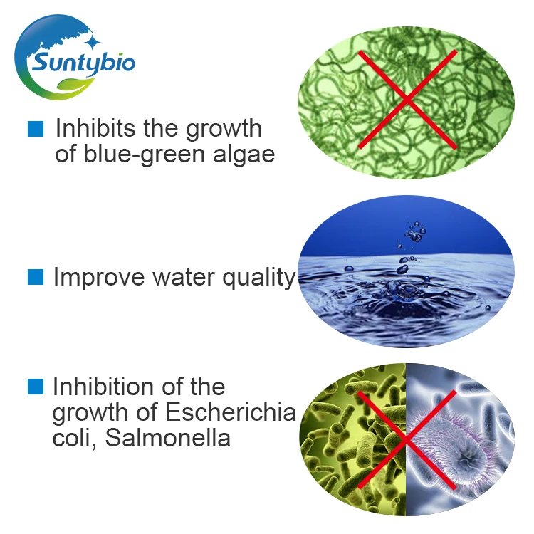 Animal Feed Grade Probiotics Enterococcus Faecium Powder Additives in China