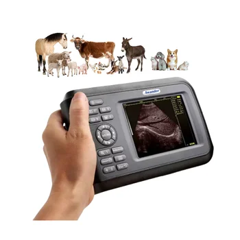 Wholesale Veterinary Portable Ultrasound Scanner for Large Animals Ultrasound Machine Cattle Pregnancy Scanner Vet Ultrasound