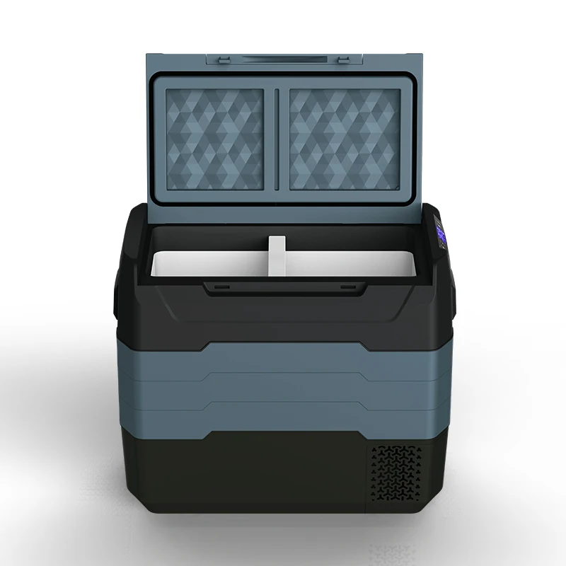 WAYCOOL TE55 50L 12V/24V AC100 ~ 240V индивидуальный автомобильный холодильник для автомобильного аккумулятора с компрессором кемпинга и автомобилей