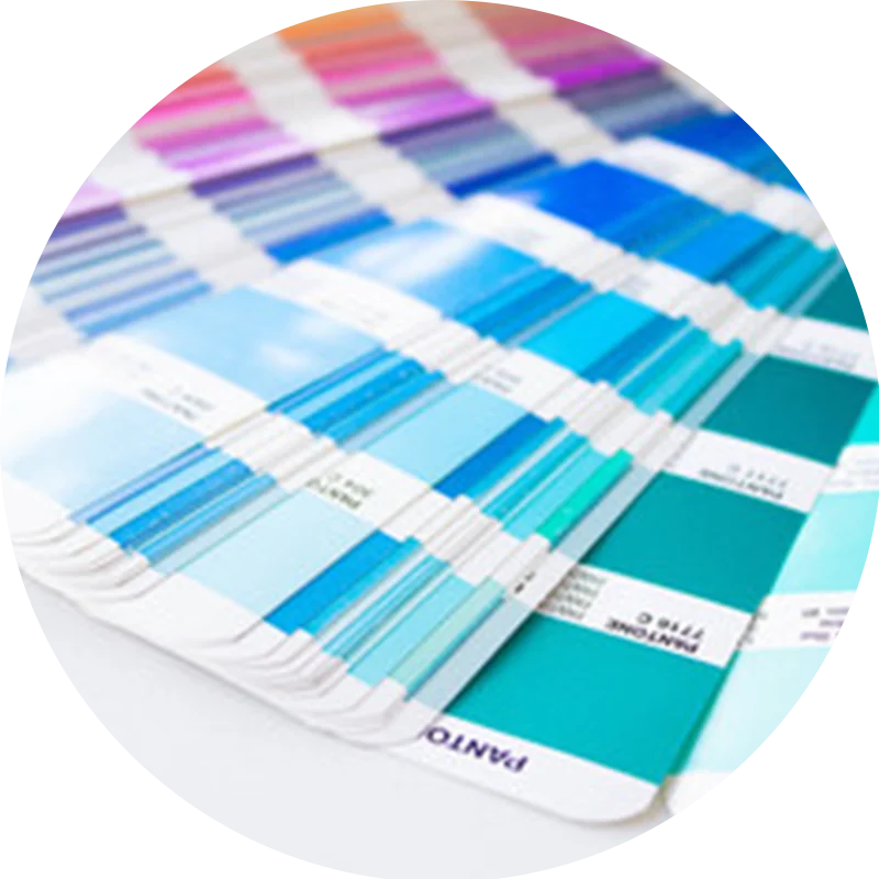 Shaoxing Chunjili Pet Products Co Ltd Shaoxing Chunjili Pet Products Co Ltd