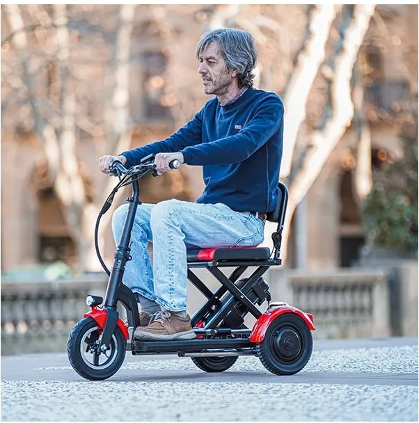300W Brushless Three-Wheel Electric Scooter for Mobility