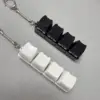 Four keys-black cat white cat