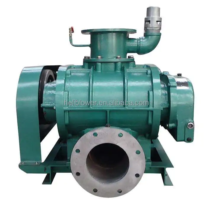 Roots Blower, Explosion-Proof, 220V - detail 2