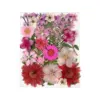 56# Dried Flower 25PCS