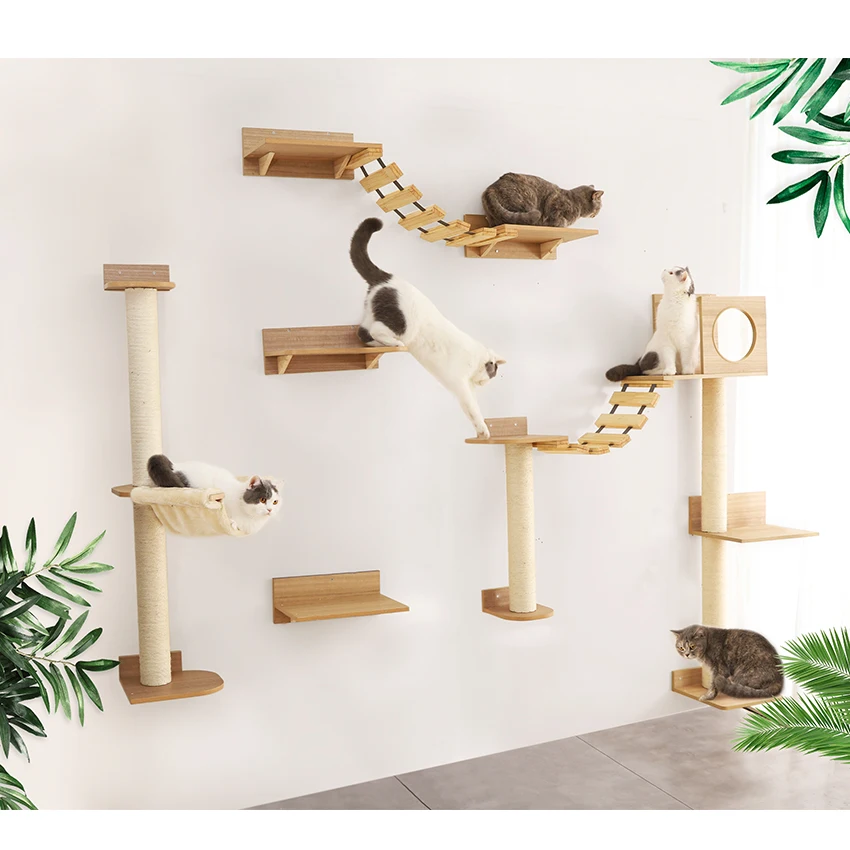 cat wall activity centre