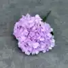 Púrpura