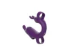 Viola