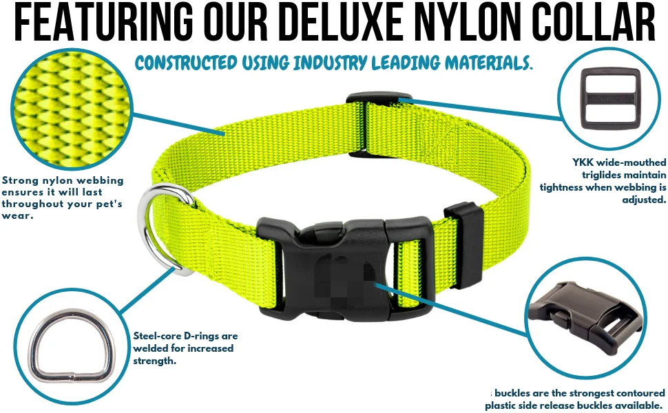 Kingtale Dog Collars Adjustable, Personalized, and Sustainable