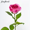 Magenta SAB809