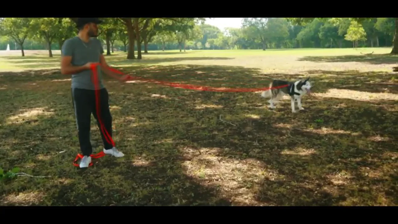 Long Dog Leash Obedience Recall Training Lead 6ft-100ft