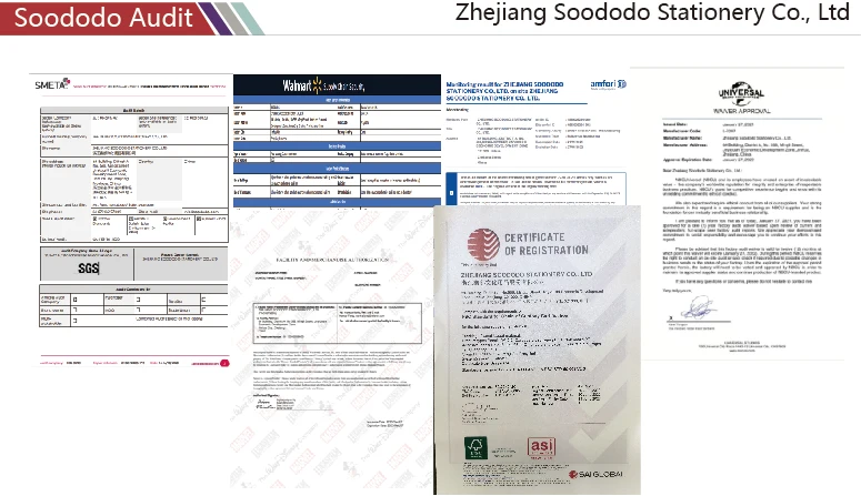 soododo audit.jpg