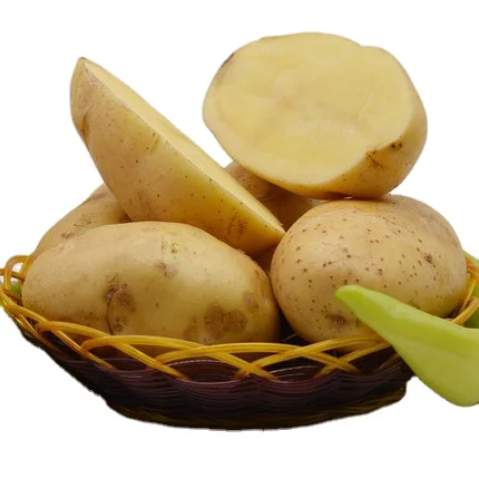 agriculture vegetables fresh vegetables fresh potatoes   view