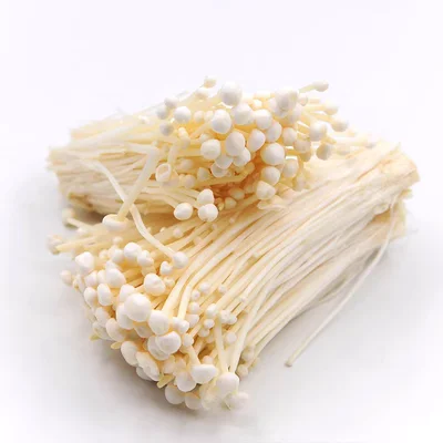 Экспорт высококачественных шиньонов Flammulina velutipes