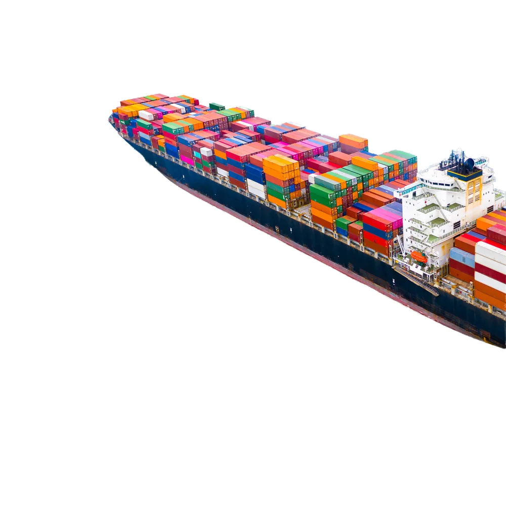 Sea Shipping Services Freight Forwarders Cheaper Prices China to Algeria/Ethiopia  Cargo Logistics Shipping Agents