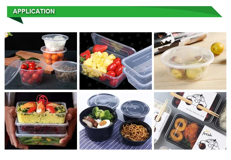 Rectangle Disposable Takeaway Plastic Storage Container Food Packaging