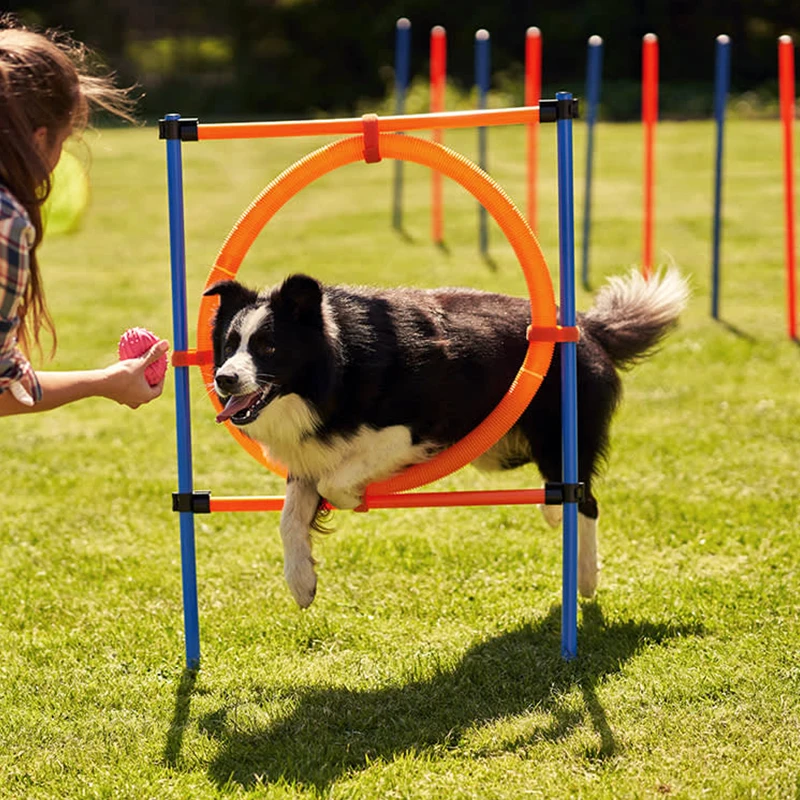 Custom Fashion Eco-Friendly Plastic/PVC Dog Agility Training Equipment Tunnel Poles Hurdles Exercise Obstacle Course Agility
