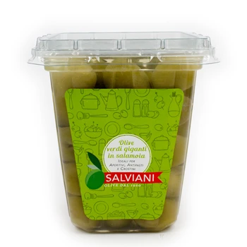 Salviani Made In Italy In Brine G500 High Quality Italian Food Snack Olive Green Raw Olives