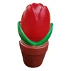Tulip Pot Pressure Ball