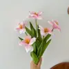 Tulipán Floreciente Rosa Leche 5