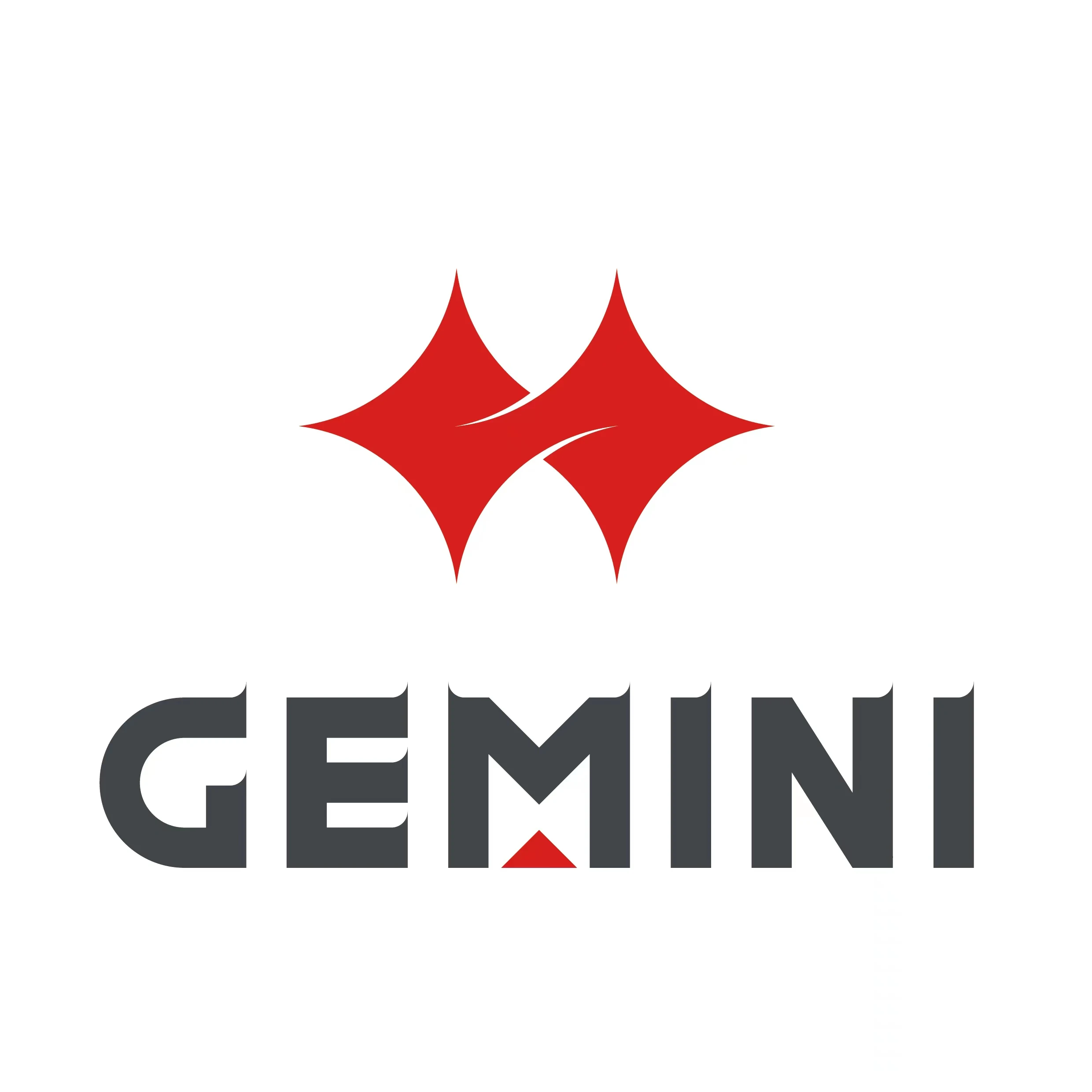 Company Overview Jiashan Gemini Technology Co., Ltd.