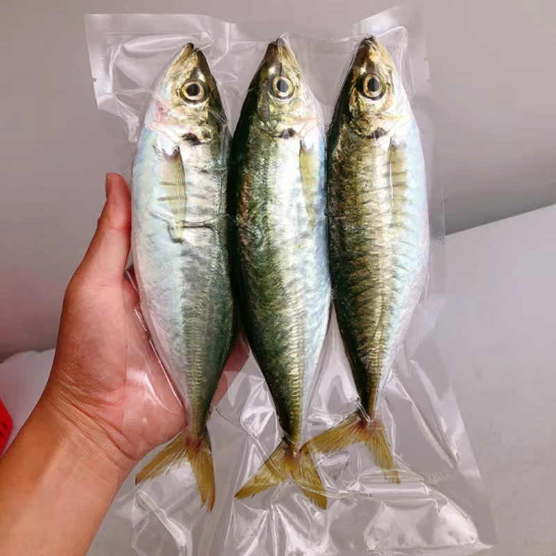 Frozen Fish Mackerel Frozen Horse Mackerel Prices Frozen Mackerel Fish ...