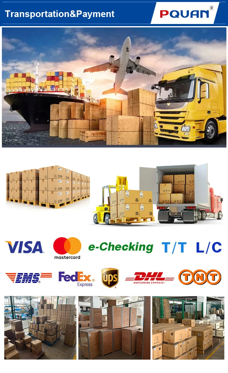 Online Soft Starter Pqzr8-Sz220-T4 Single Phase/Three Phase Versatile Frequency Converter details