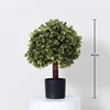 Osmanthus-leaved round tree
