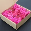 Aliento de bebé rosa intenso - 50 unidades en caja