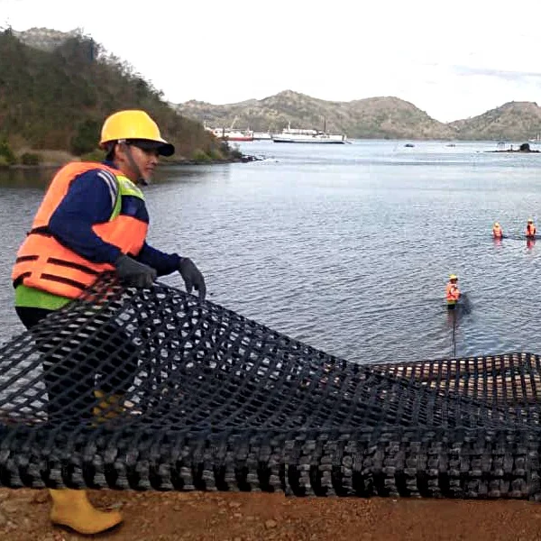 Soft Soil Reinforcement Polyester Geogrid Biaxial PET Geogrids in Bank Reinforcement Retaining Wall Geogid Price