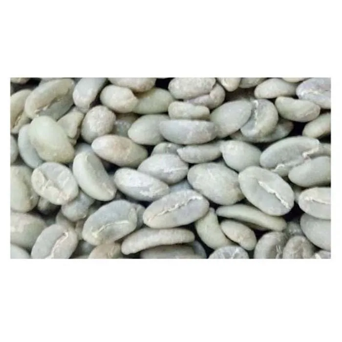 bulk green coffee beans suppliers