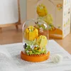 Bande de tulipes cachées avec cache-poussière-177 pièces