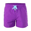 13 สีม่วง
