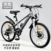 Silver 7-speed aluminum alloy spoked wheels