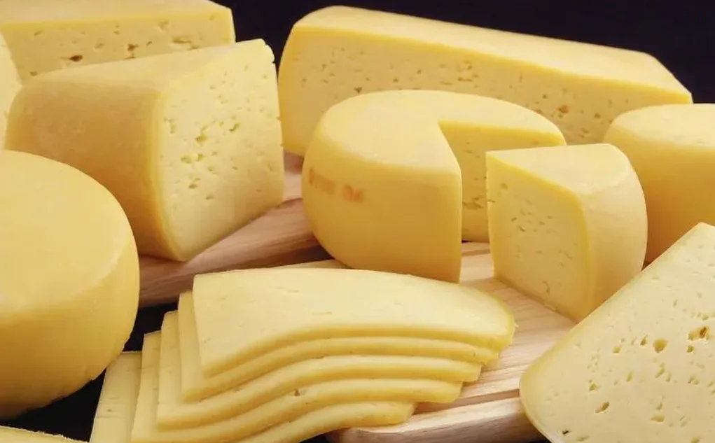 Factory Directly Supply Cheese Making Machines Industrial Yogurt Maker Equipment Price