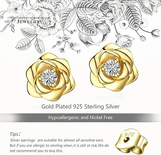 JewelryPalace Double Heart Intertwined Cubic Zirconia Stud